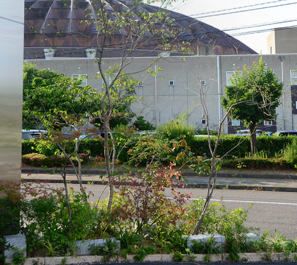 芹川造園の作品集　お庭