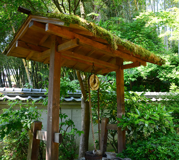 芹川造園の作品集　お庭