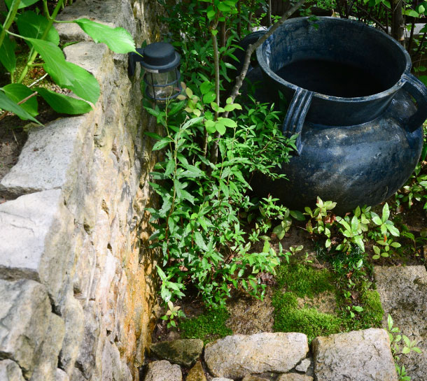 芹川造園の作品集　お庭