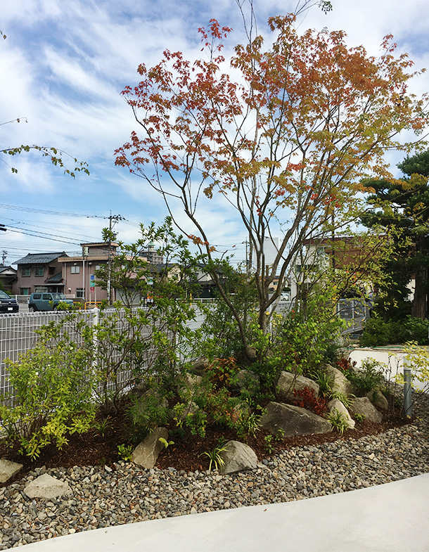 芹川造園の作品集　お庭